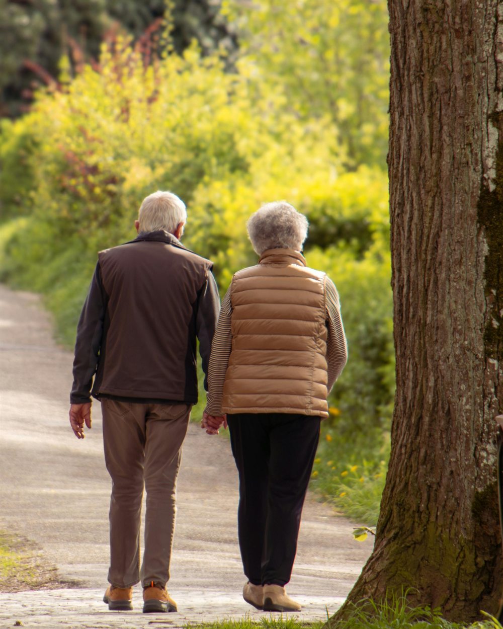 Una pareja de adultos mayores camina tomada de la mano por un sendero arbolado