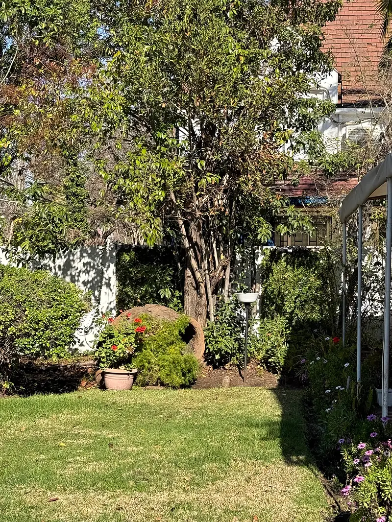 Jardín con césped, un árbol grande, geranios rojos y flores moradas