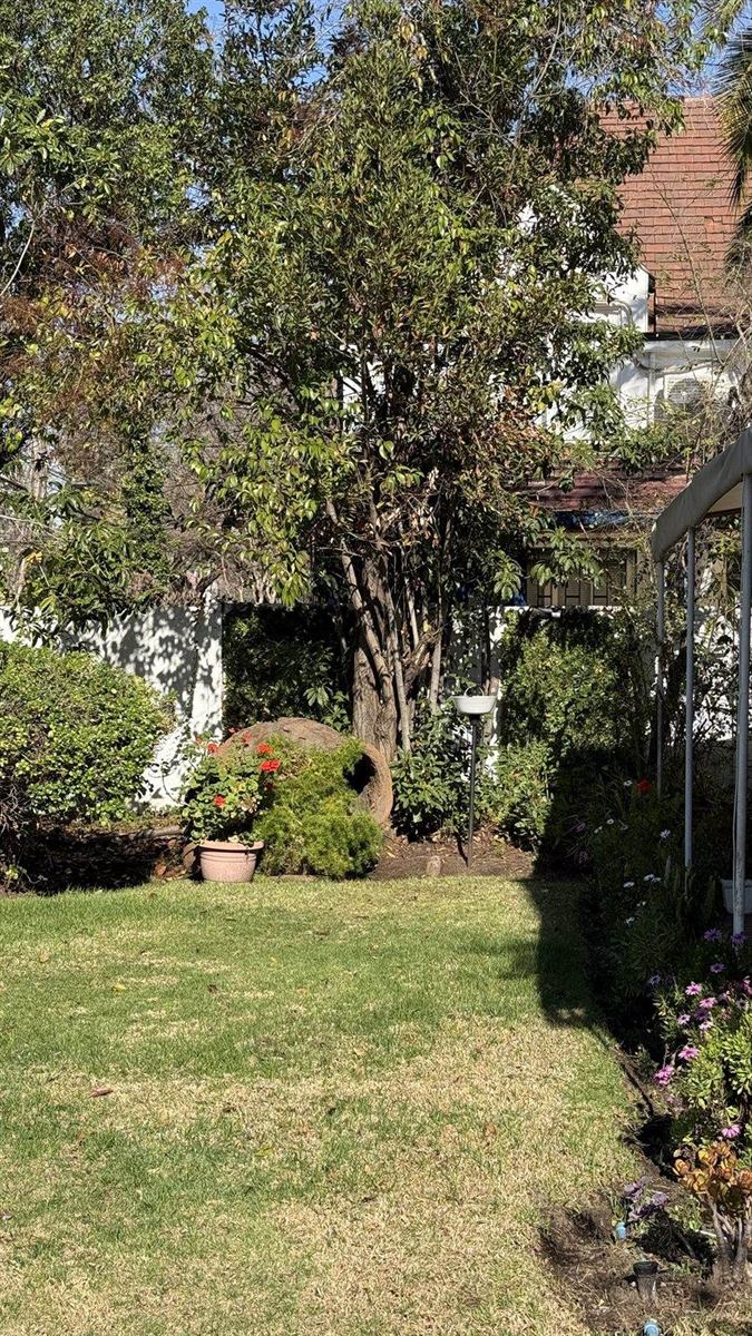 Jardín de Casa Menar con árboles y pasto